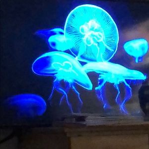 Meet your Posher, Benito